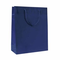 buste lusso plastificato lucido bauletto orizzontali blu