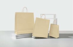 shopper personalizzate carta erba maniglia ritorta colorata