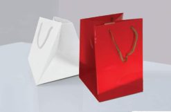 shopping bags porta panettone