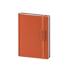 Agenda giornaliera - PB275 - f.to cm 15x21-colore-Arancio